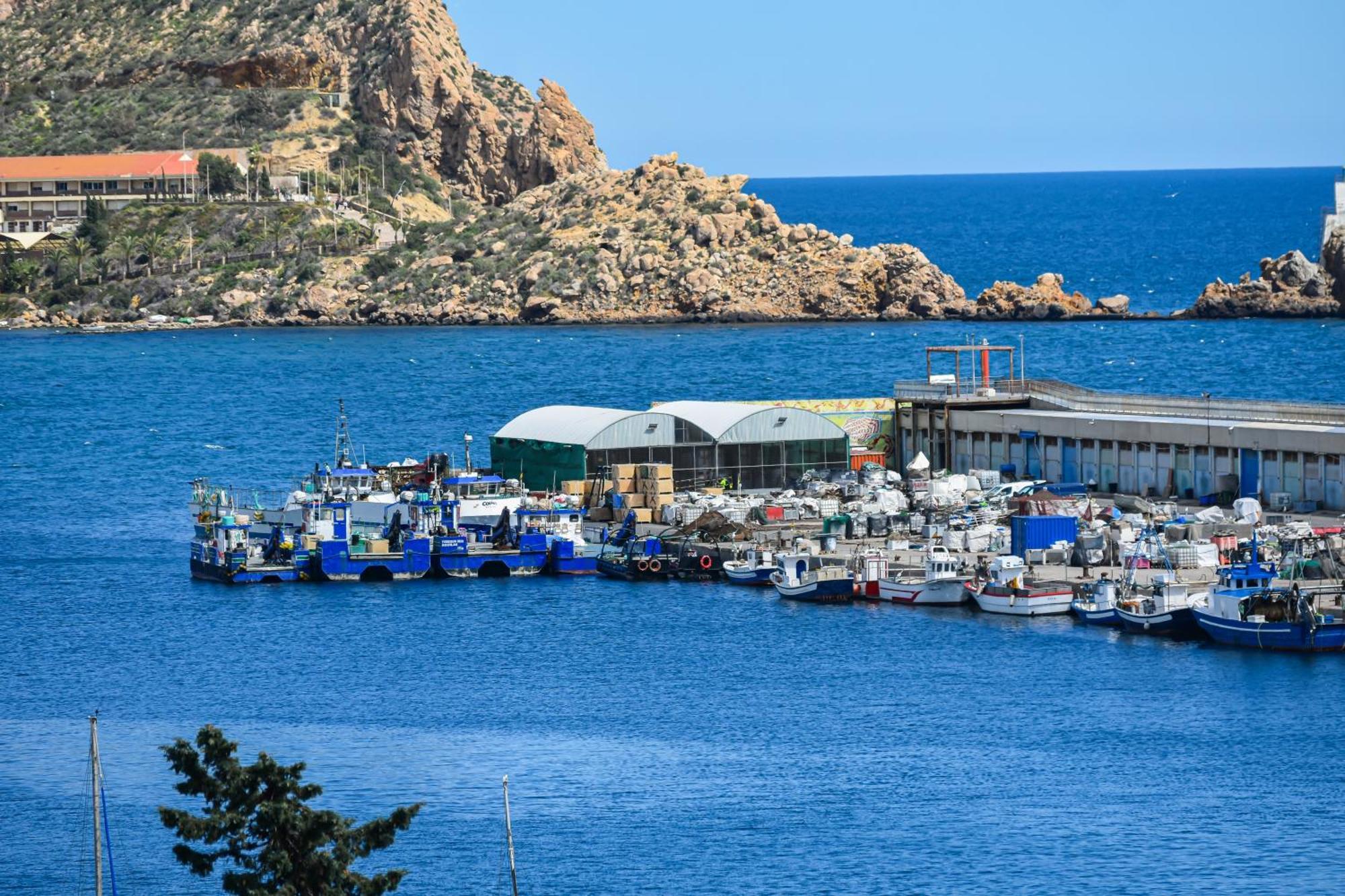 Dream View Aguilas - By Aloha Palma ภายนอก รูปภาพ